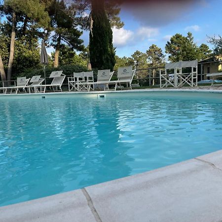 San Vivaldo Tuscany Relax H&H - Helly House 아파트 외부 사진