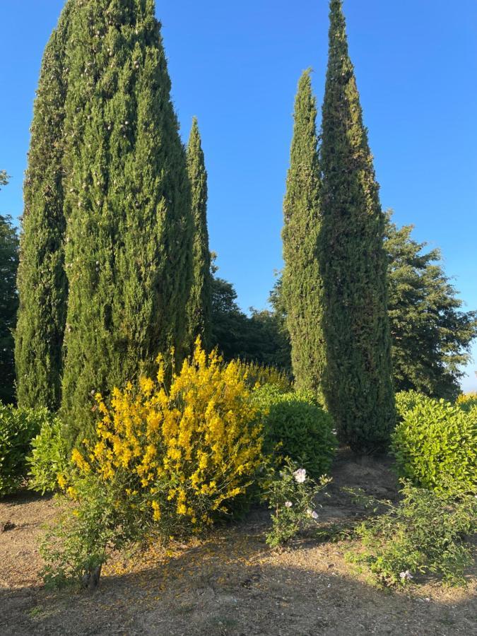 San Vivaldo Tuscany Relax H&H - Helly House 아파트 외부 사진